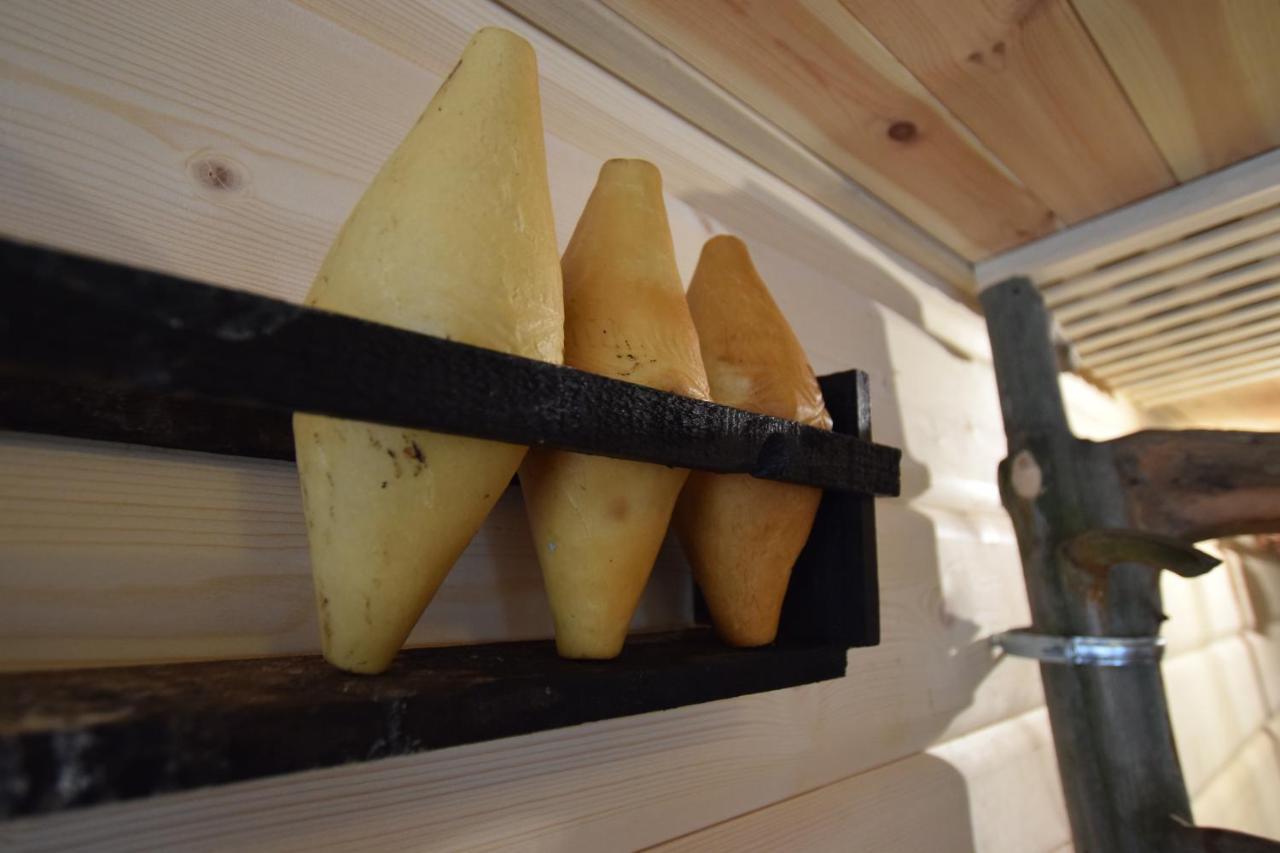 Bed and Breakfast Dafne Zakopane Exterior foto